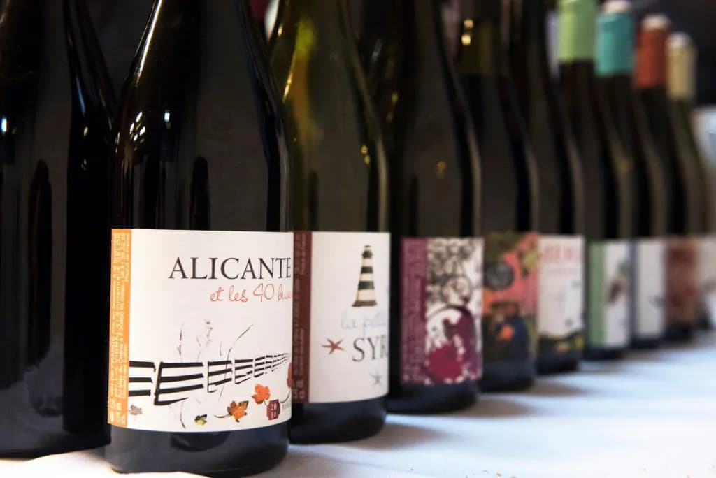 Grande dégustation Couleur Vin 2016