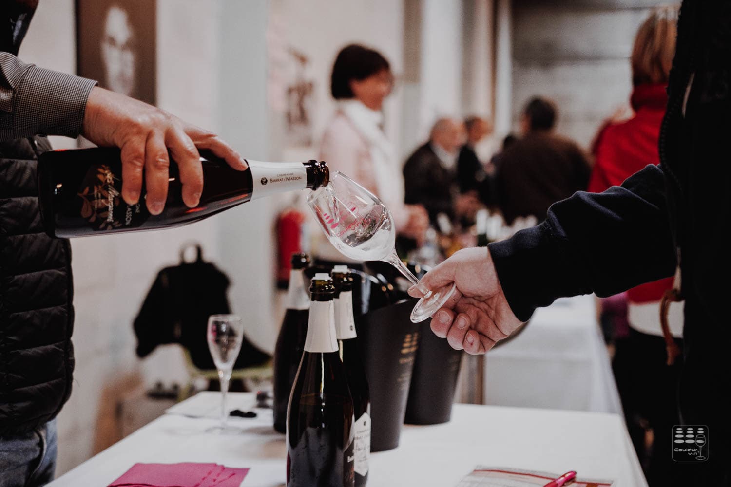 Grande dégustation Couleur Vin 2017