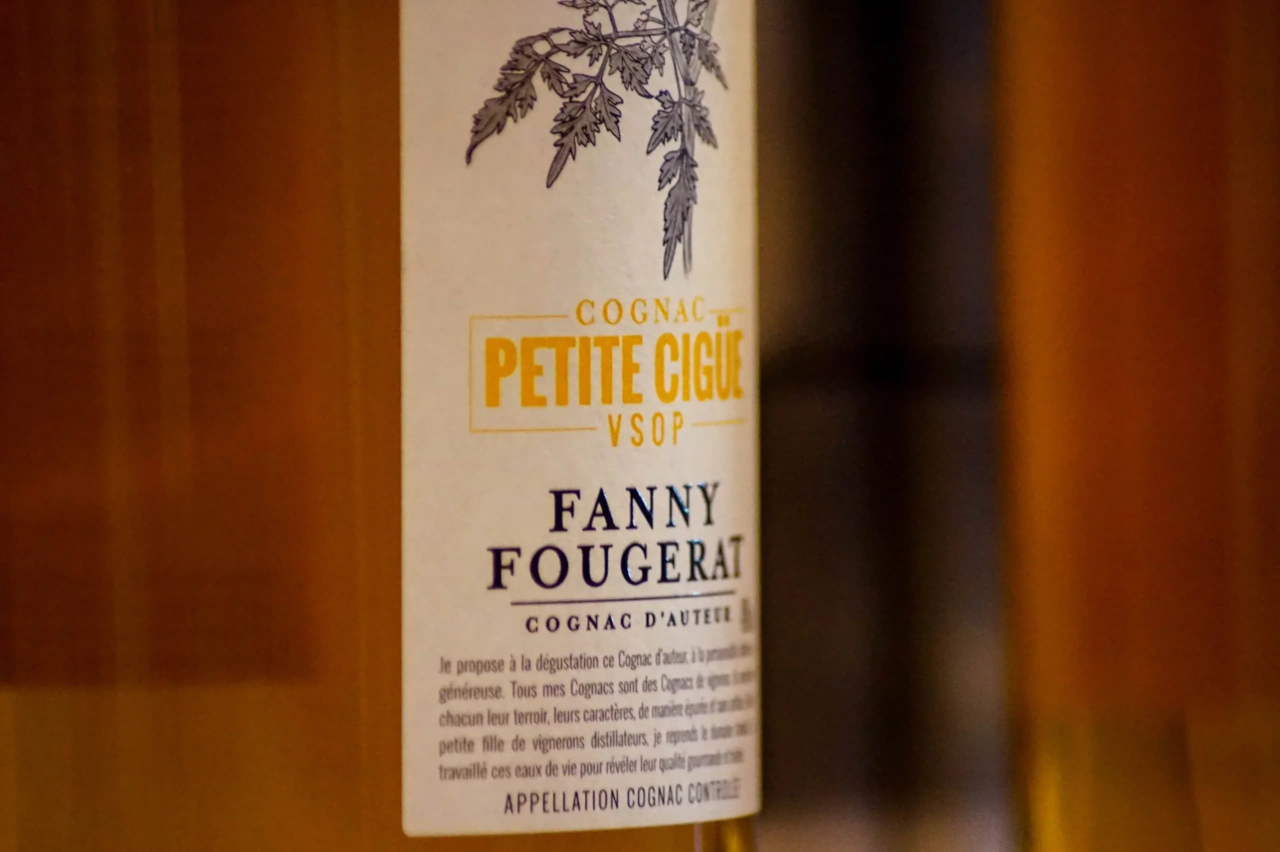 Grande dégustation Couleur Vin 2019