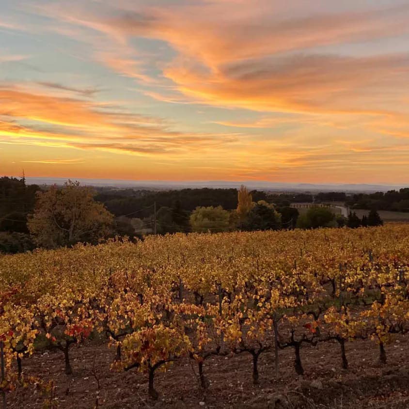 Domaine Du Gour de Chaulé