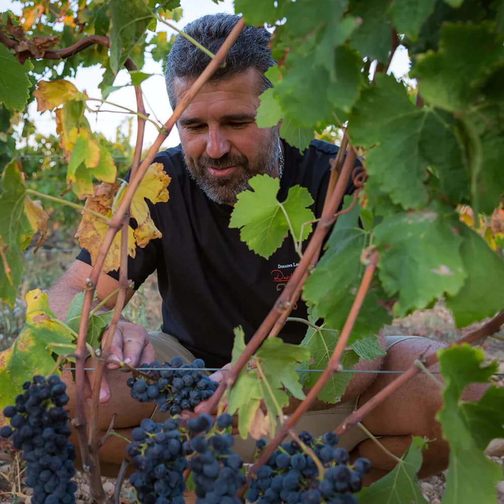 Domaine des Bruyères