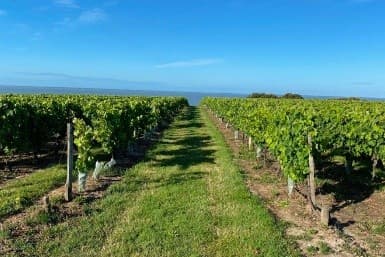Domaine Grains d’Estuaire – Julien Bonneau