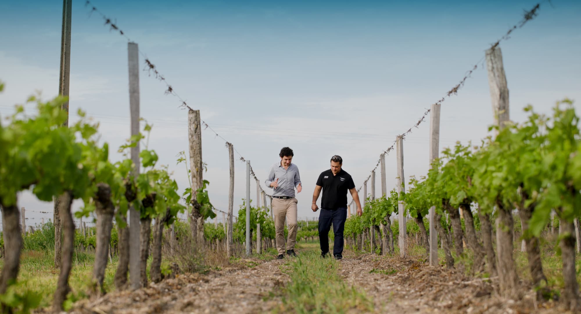 Domaine Grains d’Estuaire – Julien Bonneau