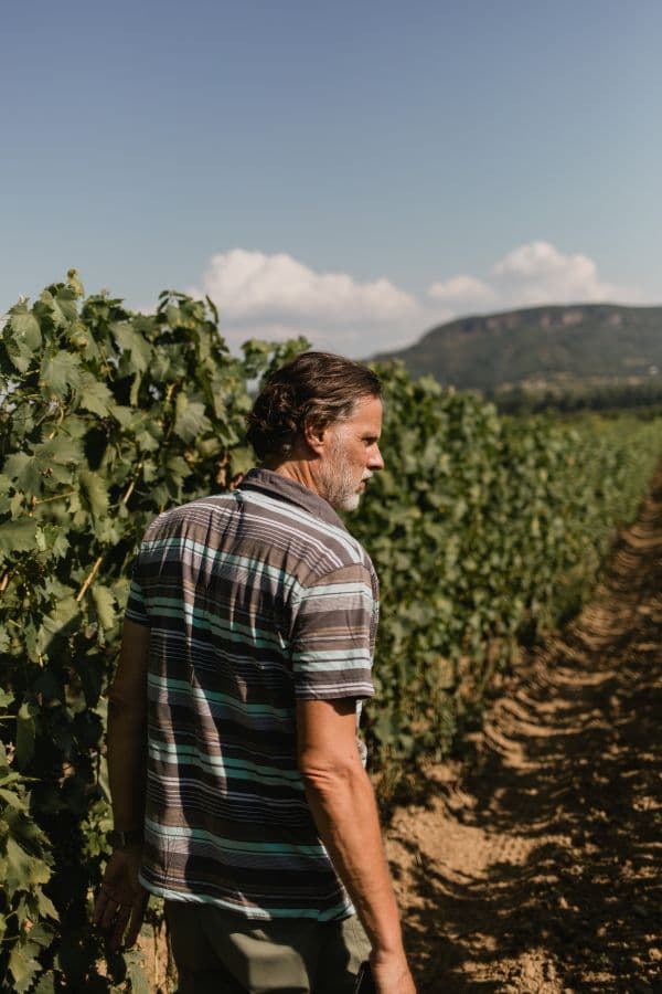 Domaine Robert Gilvesy