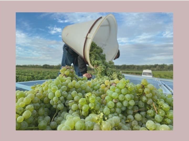 Domaine Caroline Bain