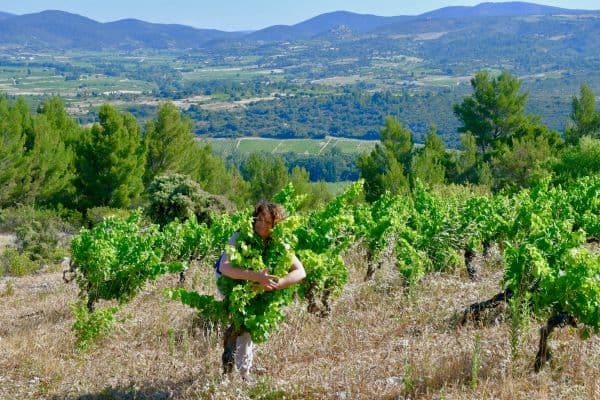 Domaine Katie Jones